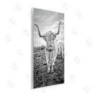 Jasper Huish | Longhorn Calf Family