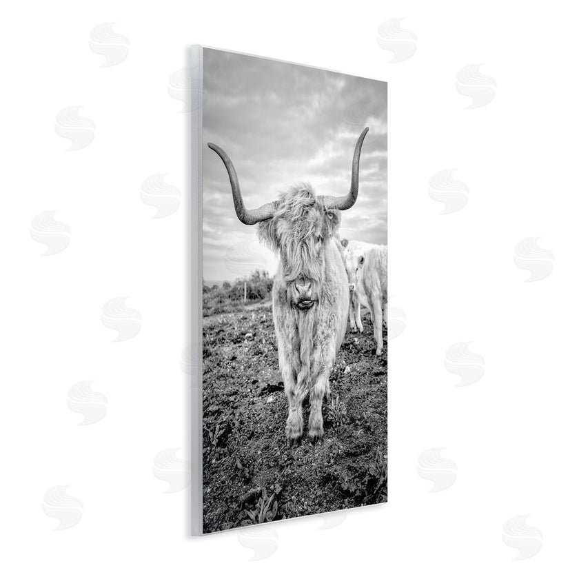 Jasper Huish | Longhorn Calf Family