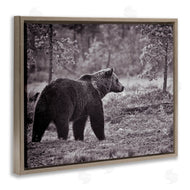 Jasper Huish | Bear Stepping in Forest