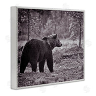 Jasper Huish | Bear Stepping in Forest