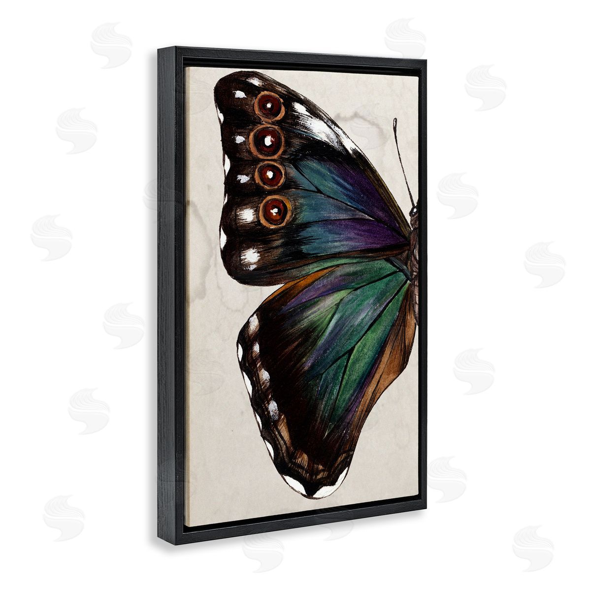 Traditional Butterfly Wing Black Floating Frame Canvas Wall Art, Home Decor by Melissa Wang
