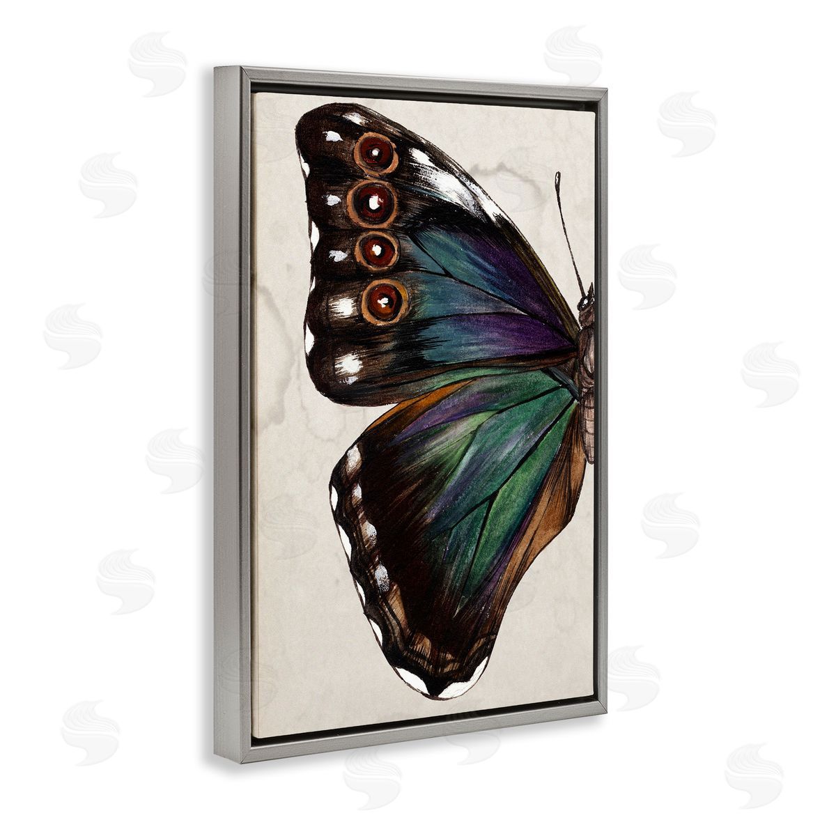 Traditional Butterfly Wing Grey Floating Frame Canvas Wall Art, Home Decor by Melissa Wang