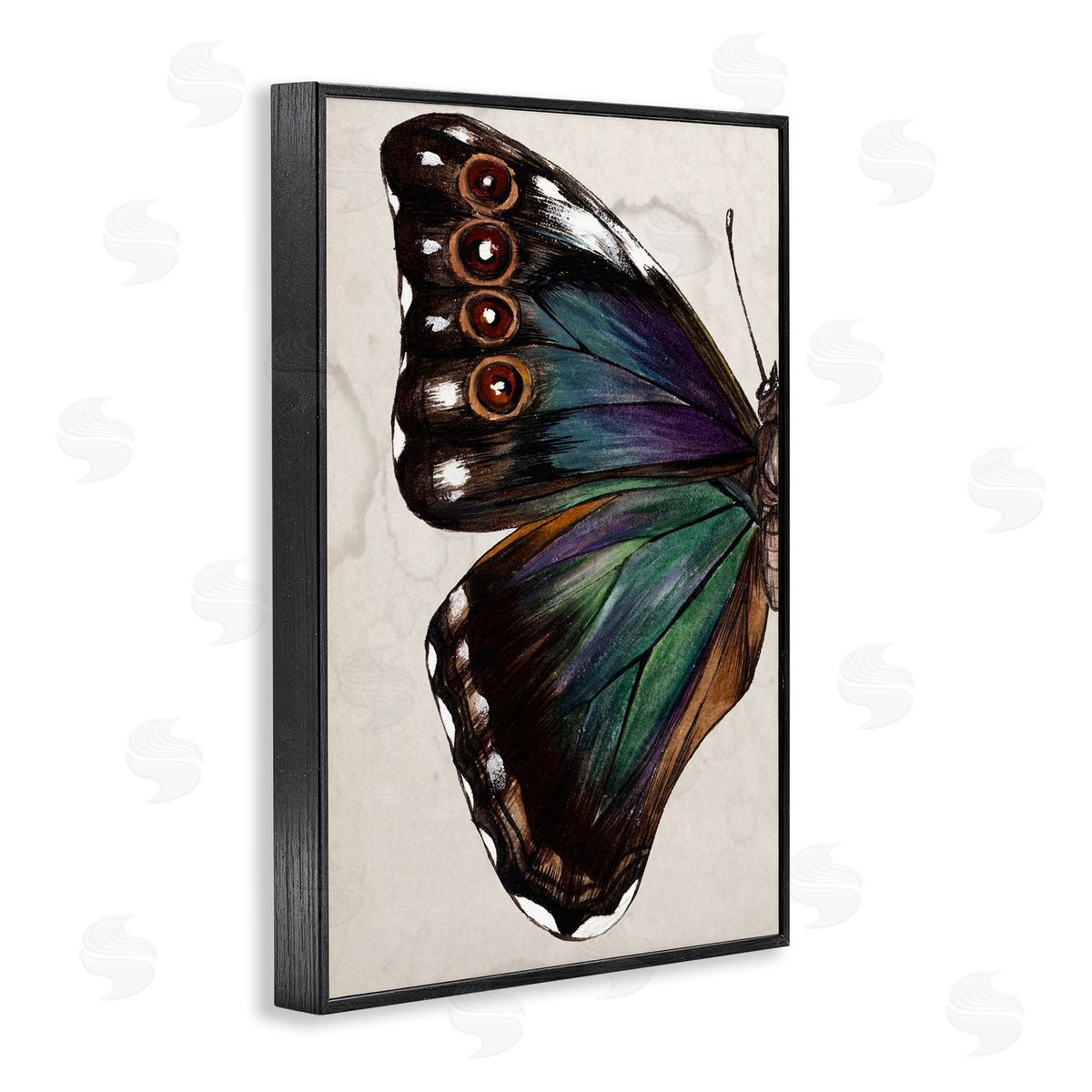 Traditional Butterfly Wing Black Frame Print Wall Art, Home Decor by Melissa Wang