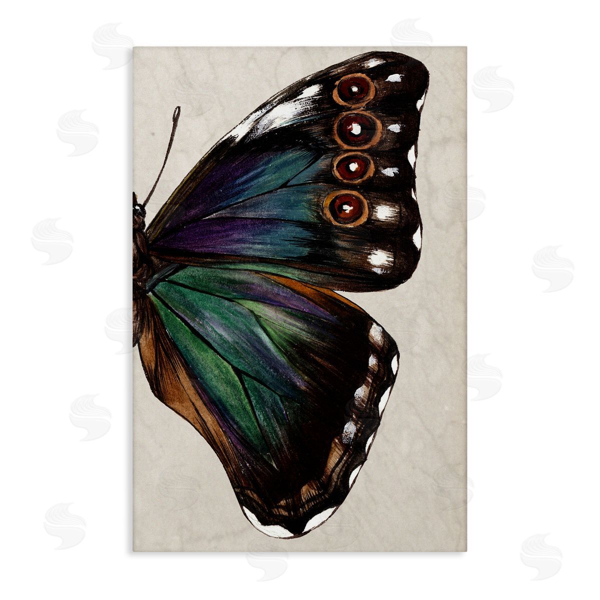Classic Butterfly Wing Canvas Wall Art, Home Decor by Melissa Wang