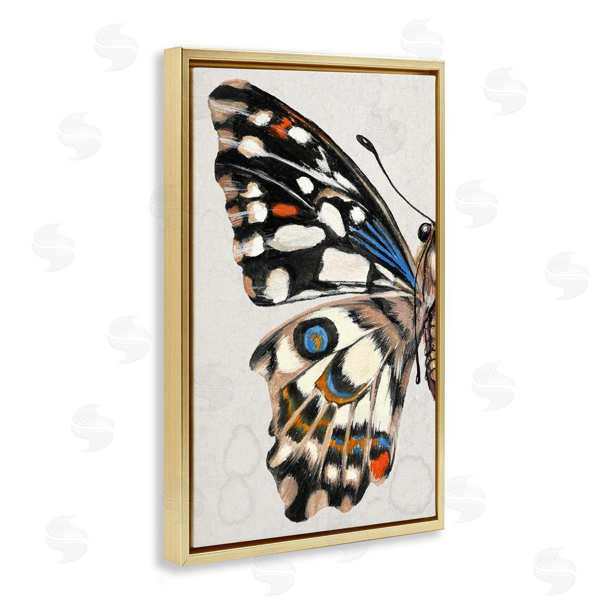 Spotted Butterfly Wing Gold Floating Frame Canvas Wall Art, Home Decor by Melissa Wang