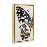 Melissa Wang | Spotted Butterfly Wing