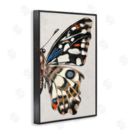 Melissa Wang | Butterfly Wing with Spots