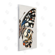Melissa Wang | Butterfly Wing with Spots