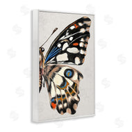 Melissa Wang | Butterfly Wing with Spots