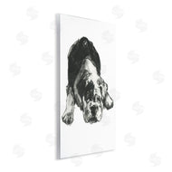 Cartissi  | Bulldog Drawing Portrait