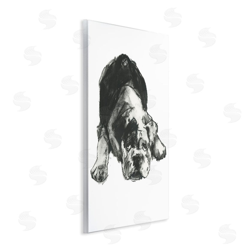 Cartissi  | Bulldog Drawing Portrait