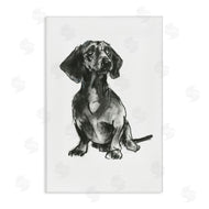 Cartissi  | Dachshund Sitting Drawing