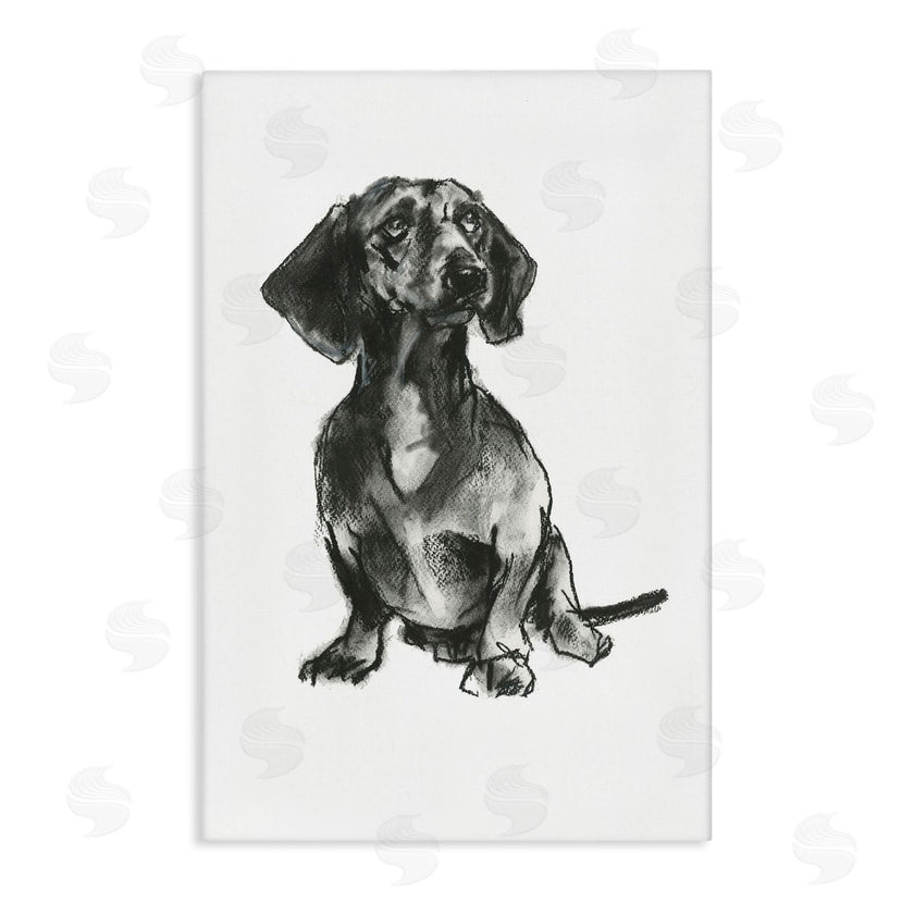 Cartissi  | Dachshund Sitting Drawing