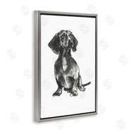 Cartissi  | Dachshund Sitting Drawing