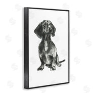 Cartissi  | Dachshund Sitting Drawing
