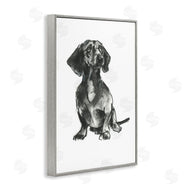 Cartissi  | Dachshund Sitting Drawing