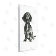 Cartissi  | Dachshund Sitting Drawing