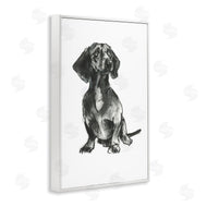 Cartissi  | Dachshund Sitting Drawing