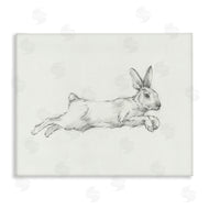 Ethan Harper | Jumping Rabbit Sketch