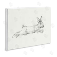 Ethan Harper | Jumping Rabbit Sketch