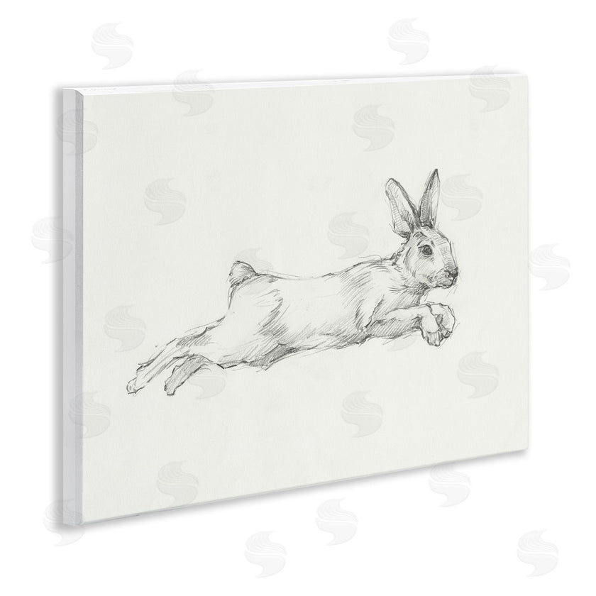 Ethan Harper | Jumping Rabbit Sketch