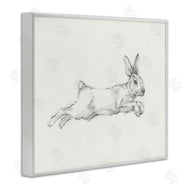 Ethan Harper | Jumping Rabbit Sketch