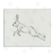 Ethan Harper | Rabbit Hopping Sketch