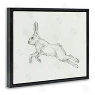 Ethan Harper | Rabbit Hopping Sketch