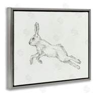 Ethan Harper | Rabbit Hopping Sketch