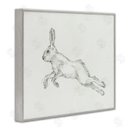 Ethan Harper | Rabbit Hopping Sketch