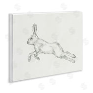 Ethan Harper | Rabbit Hopping Sketch