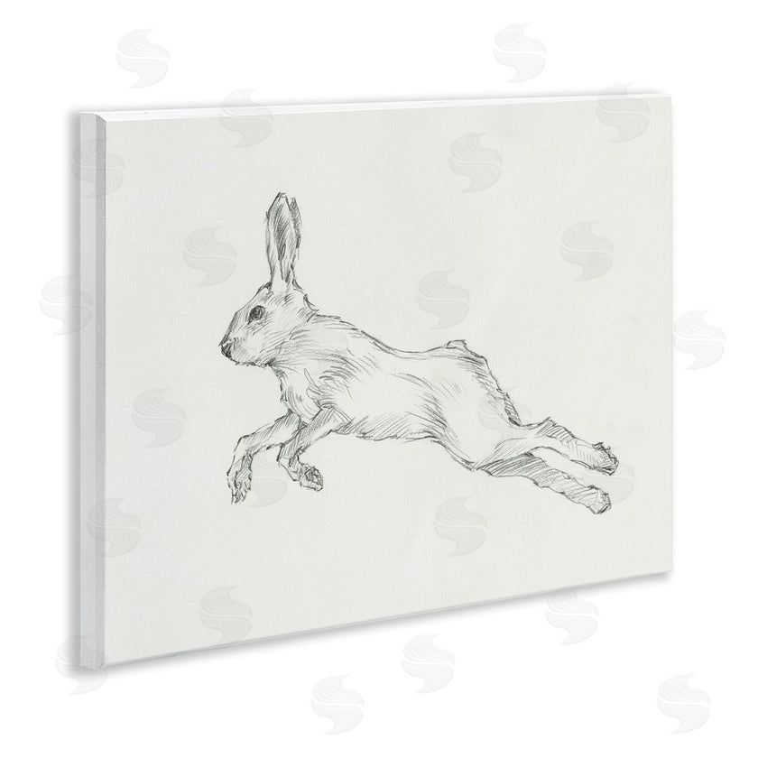 Ethan Harper | Rabbit Hopping Sketch