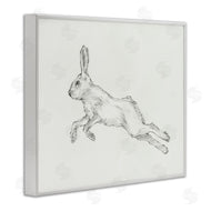 Ethan Harper | Rabbit Hopping Sketch