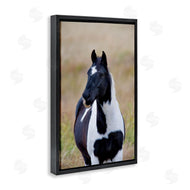 Dennis Frates | Black and White Foal