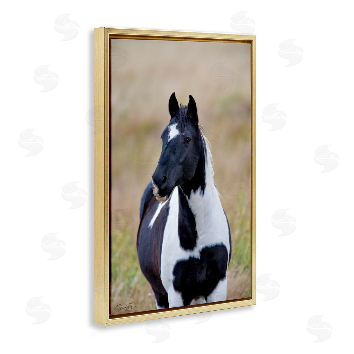 Black and White Foal Gold Floating Frame Canvas Wall Art, Home Decor by Dennis Frates
