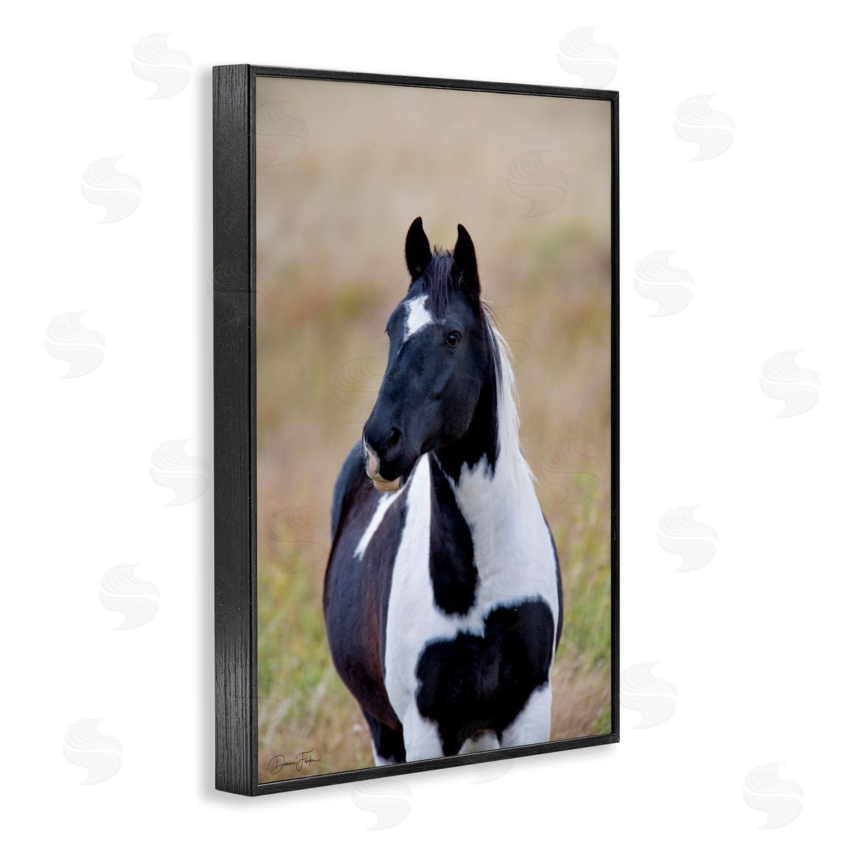 Black and White Foal Black Frame Print Wall Art, Home Decor by Dennis Frates
