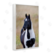 Dennis Frates | Black and White Foal