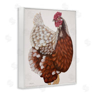 Ashley Justice | Traditional Chicken Portrait