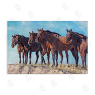 David Graham | Horse Herd Overlooking Desert