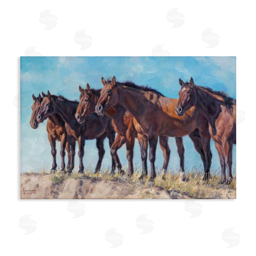 David Graham | Horse Herd Overlooking Desert