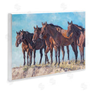 David Graham | Horse Herd Overlooking Desert
