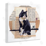 Nancy Overton | Tuxedo Cat Collage
