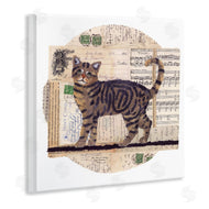 Nancy Overton | Tabby Cat Collage