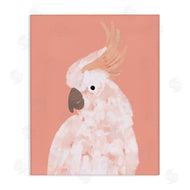 Chen Alyesh | Cockatiel on Pink