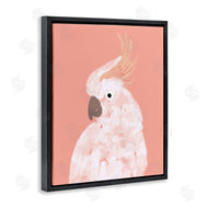 Chen Alyesh | Cockatiel on Pink
