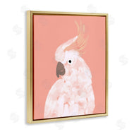 Chen Alyesh | Cockatiel on Pink