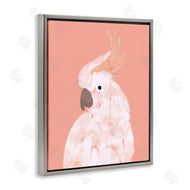 Chen Alyesh | Cockatiel on Pink