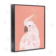Chen Alyesh | Cockatiel on Pink
