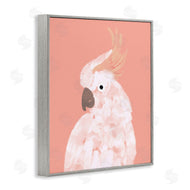 Chen Alyesh | Cockatiel on Pink