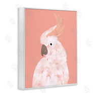 Chen Alyesh | Cockatiel on Pink
